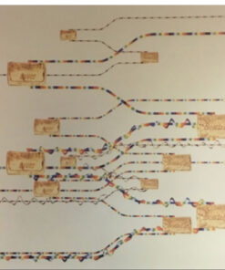 SILK SCREEN - Kurk flessen