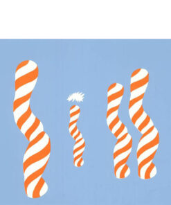 SILK SCREEN G.J.M. DIBBETS (Dutch 1941) - Untitled