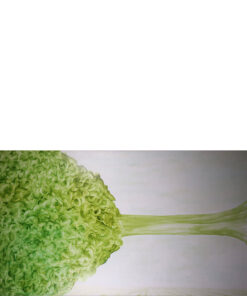 ORIGINAL RUUD LANFERMEIJER (Dutch 1956) - The Three Graces