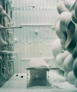 C-PRINT SASKIA OLDE WOLBERS (Dutch 1971) - Placebo still 1