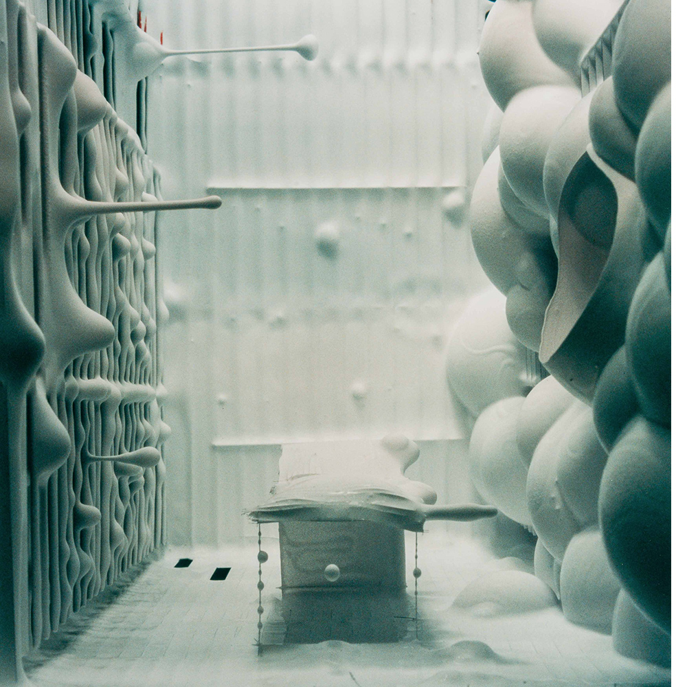 C-PRINT SASKIA OLDE WOLBERS (Dutch 1971) - Placebo still 1