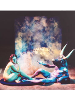 CIBACHROME PRINT DE NOOIJER (Dutch) - Breakfast