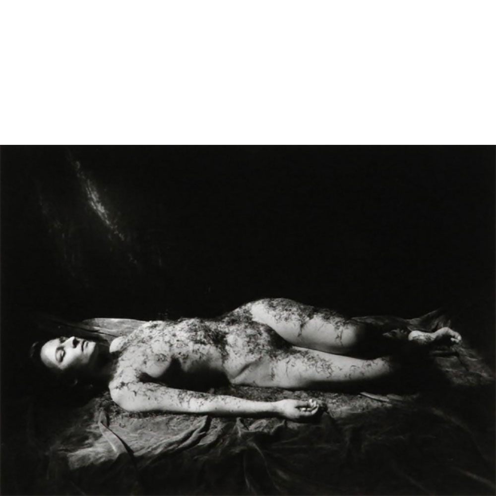 SILVER PRINT DIANA BLOK (Dutch 1951) - Untitled