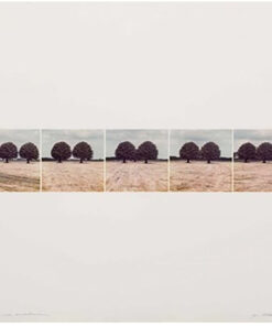 COLLAGE GER DEKKERS Dutch 1929) - Three trees ...